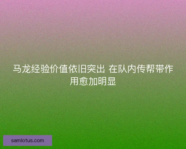 马龙经验价值依旧突出 在队内传帮带作用愈加明显